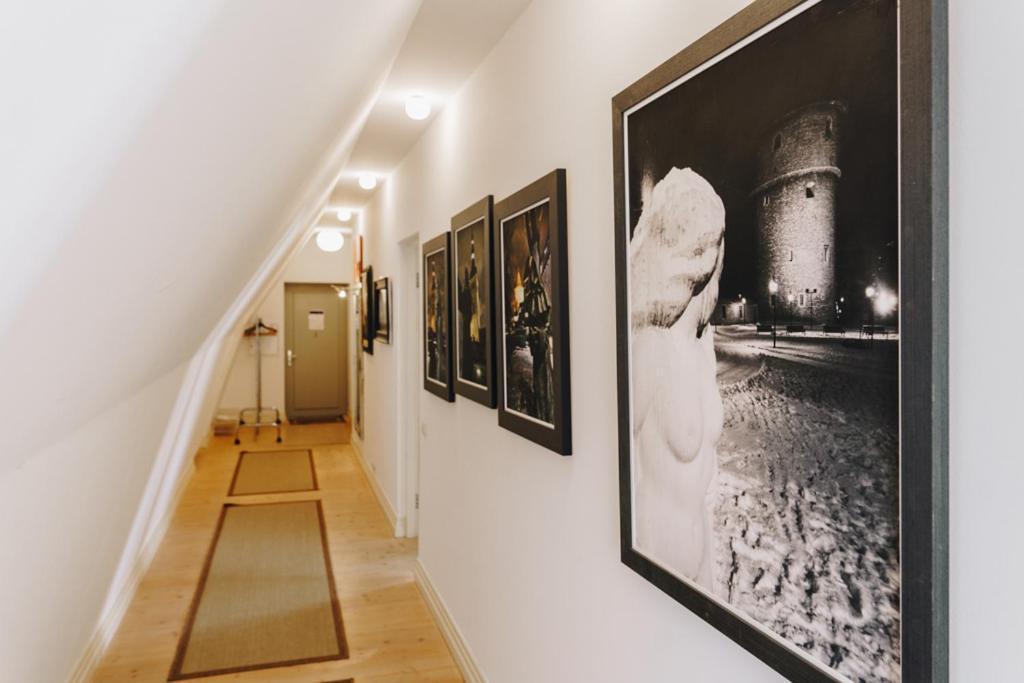 Dream Stay - Art Gallery Family Apartment With 2 Bathrooms Tallinn Exteriör bild