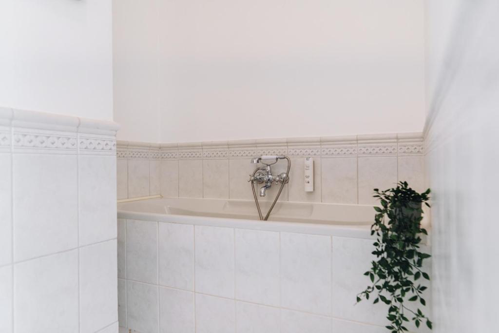 Dream Stay - Art Gallery Family Apartment With 2 Bathrooms Tallinn Exteriör bild